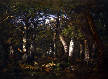 Sous Bois de la Foret de Barbizon, 1867 by Narcisse Virgile Diaz de la Pena (French, 1807 - 1876)