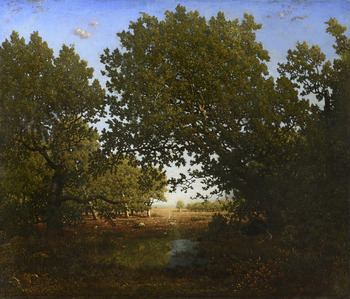 Chêne penché sur une mare au Bas-Breau, forêt de Fontainebleau, Circa 1860 by Pierre Étienne Théodore Rousseau (French, 1812 - 1867)