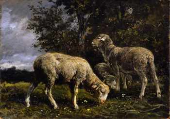 Moutons sous un Arbre (Sheep under the Trees) by Charles Jacque (French, 1813 - 1894)